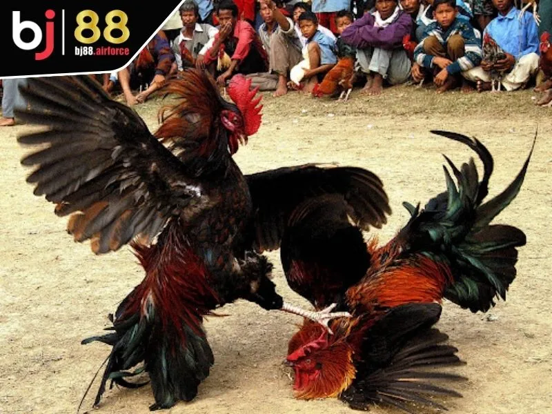 Những điều hấp dẫn khi tham gia sảnh AOG