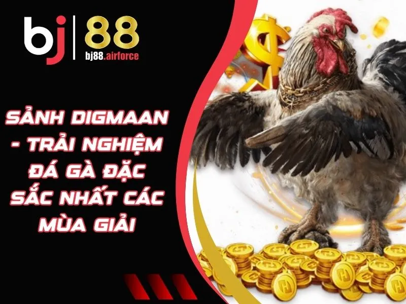 Sảnh Digmaan - Trải Nghiệm Đá Gà Đặc Sắc Nhất Các Mùa Giải 2 Sảnh Digmaan