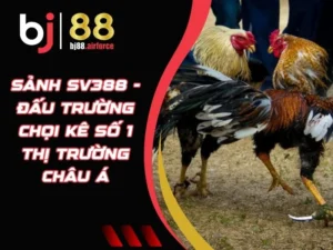 Sảnh SV388