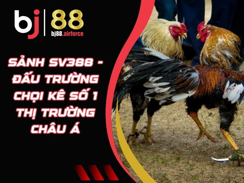 Sảnh SV388 - Đấu Trường Chọi Kê Số 1 Thị Trường Châu Á 4 Sảnh SV388