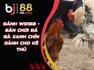 Sảnh WS168